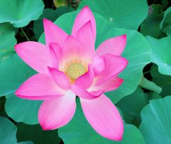 -大望京儿童游乐场