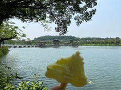 -星湖旅游景区七星岩