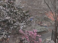 -国御温泉度假小镇