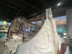 -国家自然博物馆