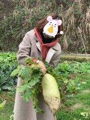 -镁连社·美联社