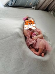 -孕视觉专业孕妇摄影(天津南开店)