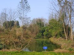 -桤木河湿地公园