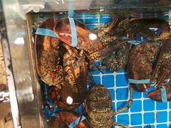 -闽海肴(北辰荟店)