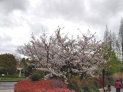 -兰溪青年公园