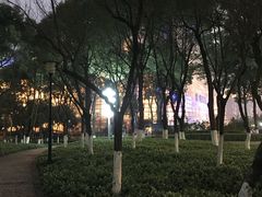 -重庆市江北嘴中央商务区中央公园