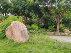 -八仙山公园