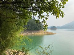 -广州市流溪河国家森林公园