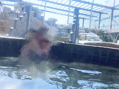 -龙达温泉生态城