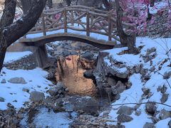 -红崖峡谷景区