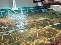 -丰卓会海鲜自助(中润大道店)
