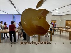 -Apple Store(Jewel Changi Airport)