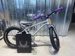 -Early Rider 儿童自行车(蓝色港湾店)