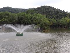 -呀诺达热带雨林