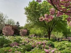 -洛阳市隋唐城遗址植物园