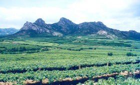-大泽山风景名胜区
