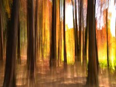 -华南国家植物园-售票处