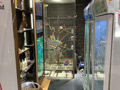 -向阳庄烧烤店(望京西园店)