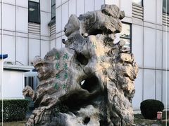 -中国中医科学院望京医院(院本部)
