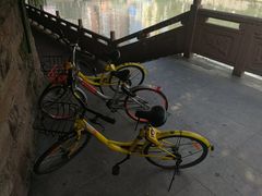 -成都市活水公园