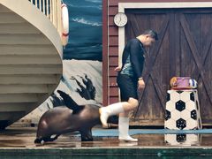 -西安曲江海洋极地公园