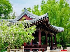 -海棠花溪(元大都城垣遗址公园)
