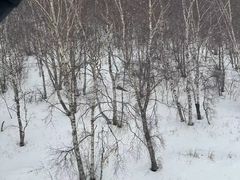 -北京南山滑雪场