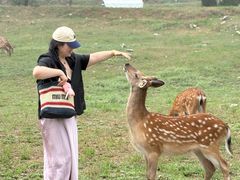 -大连森林动物园