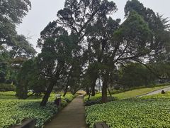 -缙云山景区