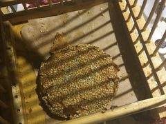-南城十里潮汕鲜牛火锅·鲜虾生滚粥(融汇老商埠店)