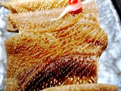 空运绿色毛肚-渝利重庆火锅