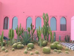-漳州滨海火山岛自然生态风景区