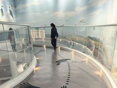 -盐城丹顶鹤湿地生态旅游区