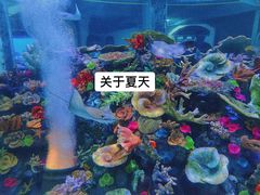 -成都浩海立方海洋公园