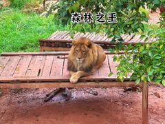 -昆明动物园