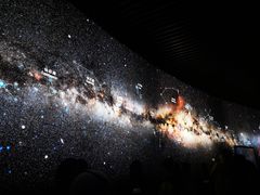 -贝林大翅鲸简餐厅(国家海洋博物馆店)