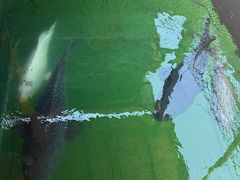 -蓝湾碧波·老字号·疍家非遗海上餐厅