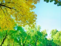 -玲珑塔公园