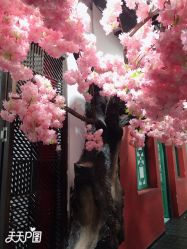 -盘子女人坊古装写真摄影(长春总店)