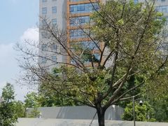 -成都市妇女儿童中心医院(中心院区)