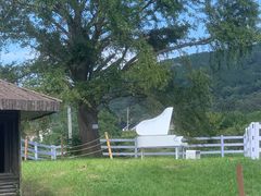 -苏州太湖西山岛开心农场