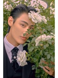 -Mregina 美人纪摄影(样片研发中心)