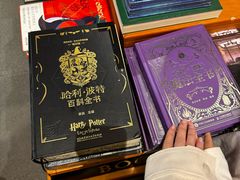 -上海长风大悦城