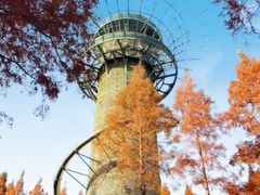 -黄海国家森林公园