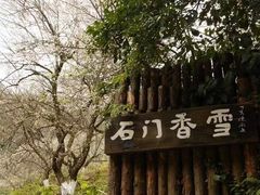 -广州市石门国家森林公园