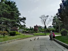 -宋庆龄陵园