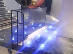 -上海莎海国际酒店