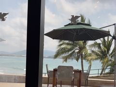 -雾山韩式烤肉·海南糟粕&椰子鸡火锅·海景餐厅(三亚绿发山海天JW万豪酒店)