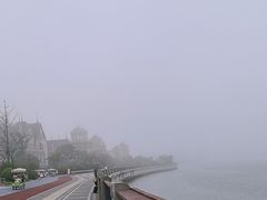 -星光岛