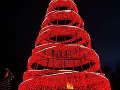 -海南清水湾莱佛士酒店